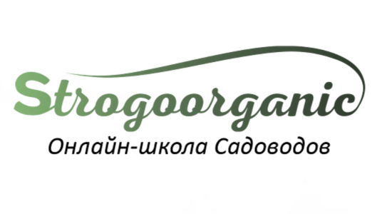 Strogoorganic